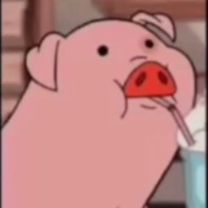 Meet your Posher, Ella